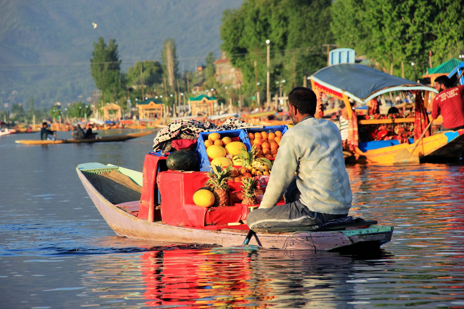 The Floating Market: Srinagar's Morning Ritual on Water